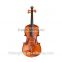 High Quality Stringed Instrument Violin Flamed Matte Violin 4/4 1/8 TL003-1