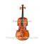 High Quality Stringed Instrument Violin Flamed Matte Violin 4/4 1/8 TL003-1