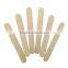Ice Pop Maker/Ice Cream Stick/Popsicle Stick