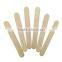 Ice Pop Maker/Ice Cream Stick/Popsicle Stick