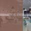 Decorative PET Transparent Color Heat insulation window film that changes color