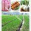 2016 fresh garlic,normal white garlic, pure white garlic