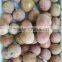 2015 new crop frozen IQF Lichee with BRC KOSHER certificate hot sales products