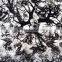 Slim Cool Dazzle Graphic DGJJ738 Skulls Heads Hydrographics Water Transfer Printing Film DIY Hydro Printing
