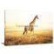 African Landscape Inkjet Canvas Printed Painting For Livingroom and Bedroom DWYS32