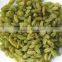 AD Dried Green Raisins with good quality for sale