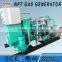 40kW biogas generator