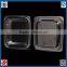 clear blueberry clamshell retail packaging
