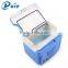 Exquisite Fridge Freezer 10L Mini Car Fridge DC 12V Fridge Freshener Fridge Cooler And Warmer