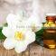 Jasmine Body Massage Oil