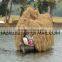 BANGLADESH HIGH QUALITY RICE STRAW / ALFALFA HAY FROM EXPORT TRADE ASSOCIATE WITH CHEAP PRICE