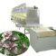 microwave Angelica/ herbs drying and sterilization machine