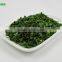 AD Drying Process Dehydrated Chive Roll 3*3mm All Green Leaves