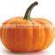 Pumpkin Seed Oil Rich in Many Nutritents VA,VE,Zinc