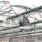 DJF(g) Series Hot Air Circulation Fans for Greenhouse With CE