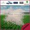 Prilled State and Quick Release Type Granular Urea 46