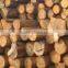 High automation wood crusher ,big wood crusher