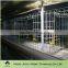 automatic poultry broiler battery cage