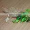 beekeeping equipment plastic queen cage and queen catcher