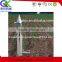 2kg Pepper melon tomatoes vegetable transplanter