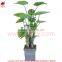 Indoor home decorative artificial bonsai tree for sale and for hotel and house landscape