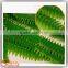 Soft Touch Plastic Plant Home and Garden Decoration Artificial Persian Grass