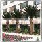 7ft-15ft artificial inflatable palm tree plastic date palm trees prices for sale