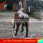 Attractive Lifelike Fiberglass Life size Horse Sculptures