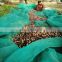 100% virgin HDPE falling fruits harvest net/breaking resistance olive falling collection net/chestnuts picking