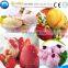 large stock and professional hard ice cream maker