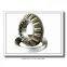 SKF 23140 CCK/C2W33 Spherical Roller Bearings