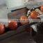Professional commercial duck egg cleaning machine for-egg