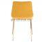 Popular Fabric Home Dining Chair With Gold Leg