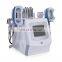 2022 korea portable cryolipolysis fat freezing body cryolipolysis 360 5 en 1cryolipolysis freeze fat cavitation rf body shaping
