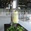 Low consumption single head hami melon pumpkin peeling machine