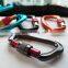 Wholesale Good Quality D Shape Lightweight Aluminum Climbing Carabiner with Snap Lock Aluminium Metal Mini Screw Lock Rock Climb