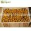 GYC longan nucleus stone core pit seed remover removing machine