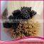 100 Keratin Tip Human Hair Extension, 1-tip loop hair, cheap remy hair extension