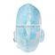 Plush Stuffed Electronic LED Singing Dolphin Toy