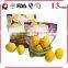 customs design vegetable fruit mesh bag wholesale