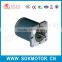 220V 70mm China rare Earth Low speed ac motor synchronous