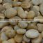 garden landscaping yellow polished pebbles