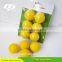 Promotional Cheap PU Golf Practice Ball