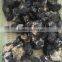 Natural Black Crystal Stone Morion Mineral Raw Rough Stones