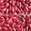 NEW CROP Dark red kidney beans