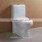 Washdown Floor Standing Toilet Bowl with Soft Close PP Seat Cover