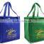 Outdoor Cooler Bag for frozen food