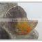 wall hanging fossil board 3d gypsum wall decoration in home decor