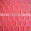 hexagonal wire netting/chicken fence ( electro galvanized/ hot dipped galvanized )
