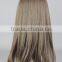 Synthetic Ash Blonde Long Straight Wig N426